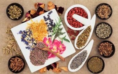 Fitoterapia per aumentare un membro