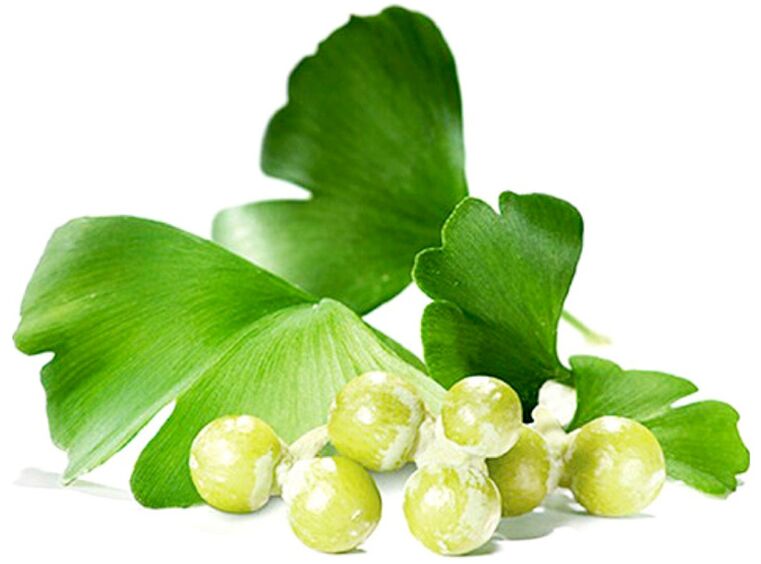 Le foglie di Ginkgo biloba migliorano il flusso sanguigno ai tessuti del pene